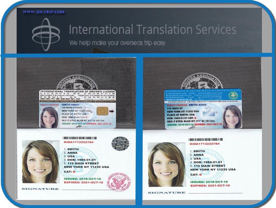 international driving license