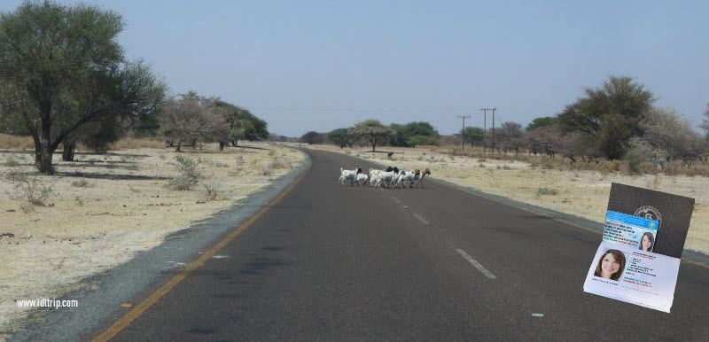 Conduire au Botswana
