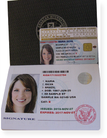 International driving license. (document style: golden)