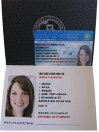 how to get the international driving license in usa